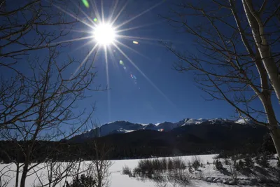 DSC_4874 (Large).JPG